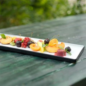 Piatto Rettangolare 25x12...